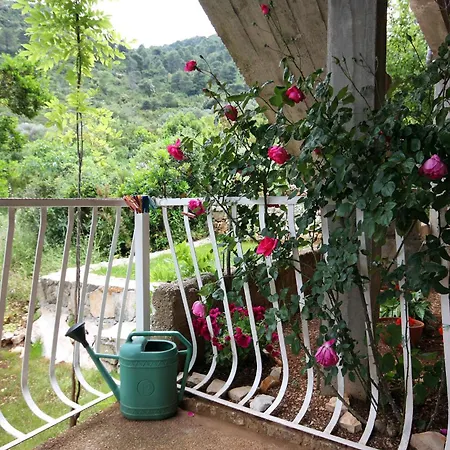 דירה By The Sea Prozurska Luka, Mljet - 4940