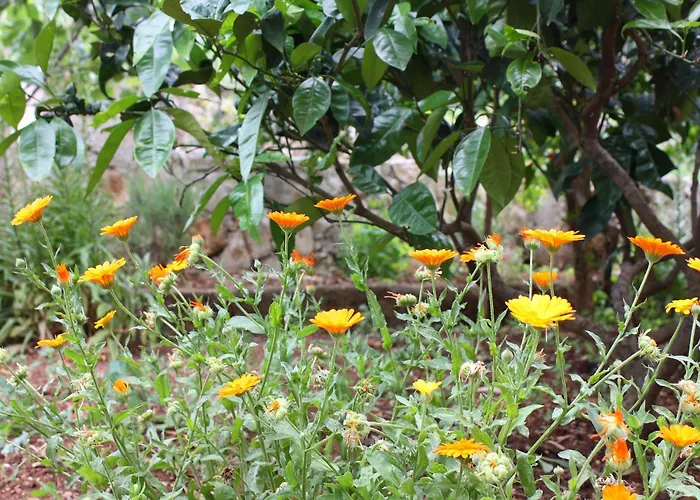 By The Sea Prozurska Luka, Mljet - 4940 アパート