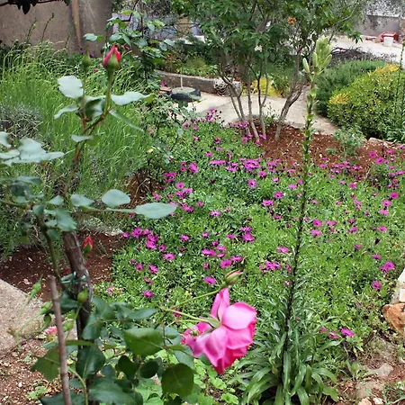 By The Sea Prozurska Luka, Mljet - 4940 Апартаменты Prozura